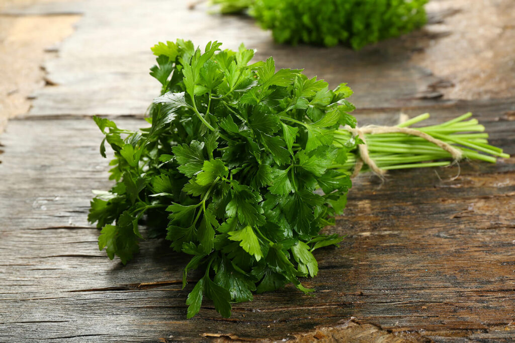 Proprietà del prezzemolo: un’erba aromatica preziosa per la salute