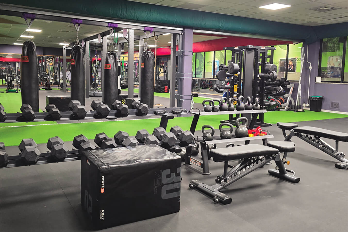 PowerFit – L’evoluzione del fitness professionale, ora anche online