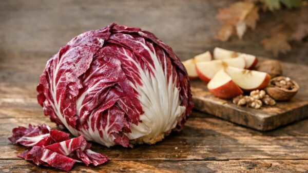 Radicchio autunnale: come sceglierlo, conservarlo e usarlo in tre ricette pratiche